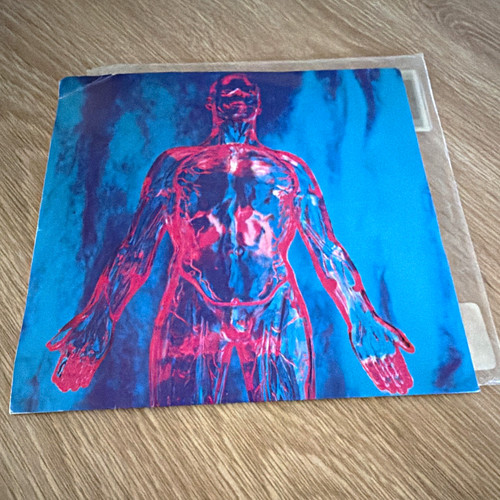 Nirvana sliver dive - nirvana,